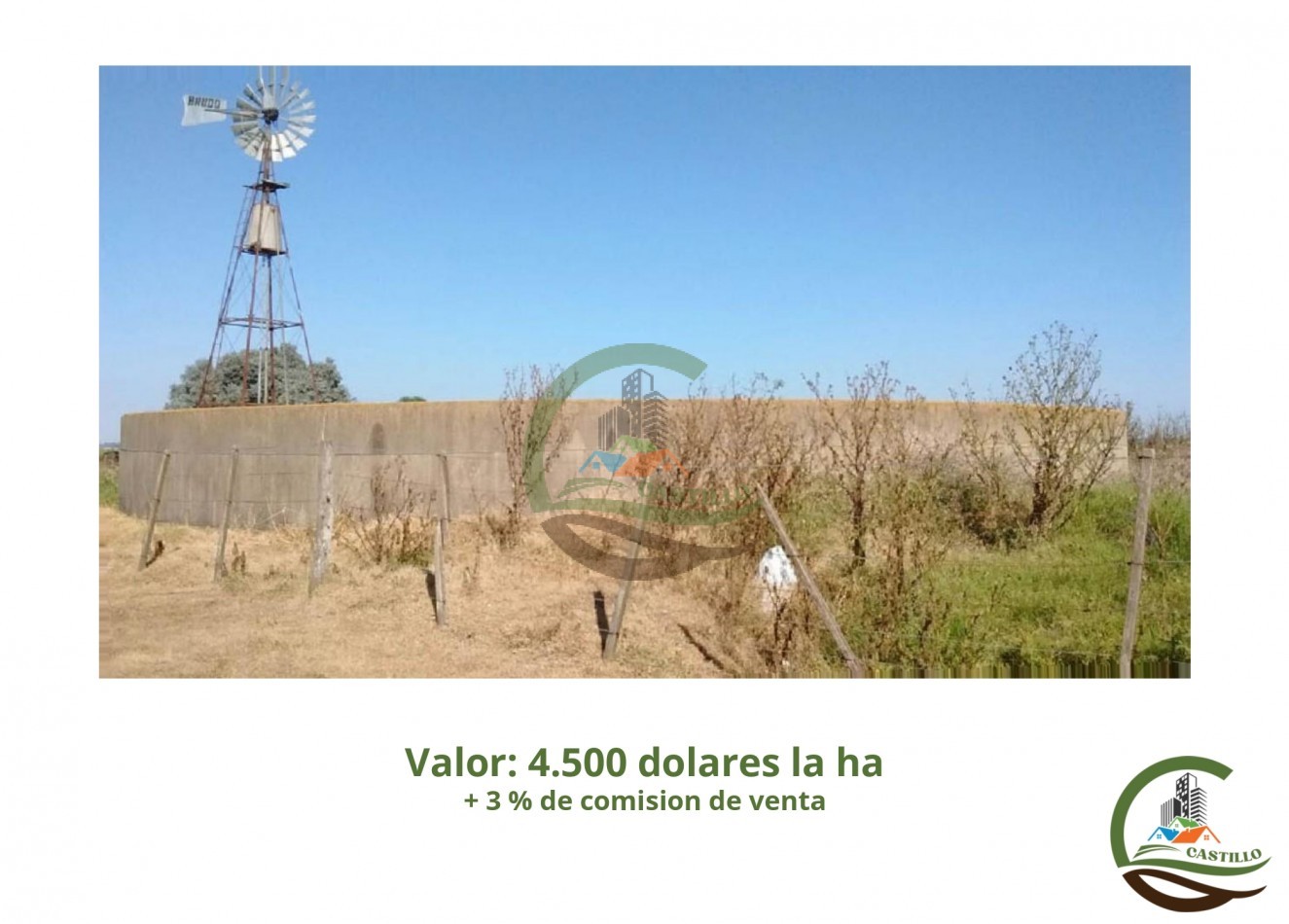 1102 ha mixtas - Roque Perez