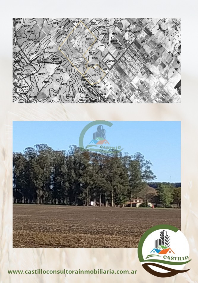 550 ha agricolas - mar del plata