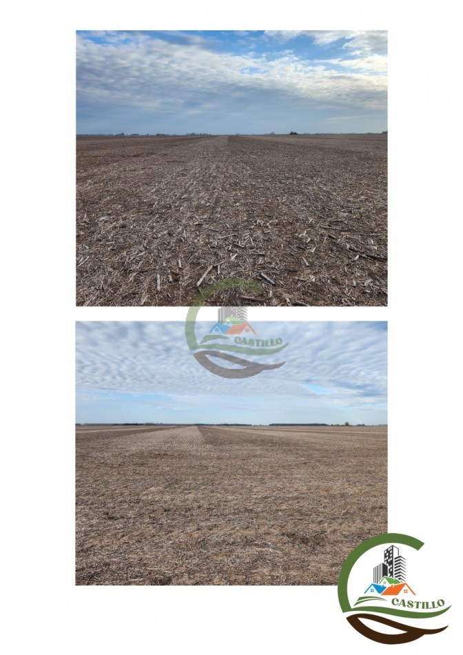 207 ha agricolas - junin