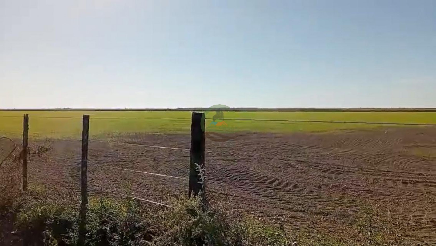 1300 Ha Agricolas - Fernandez - Santiago del Estero