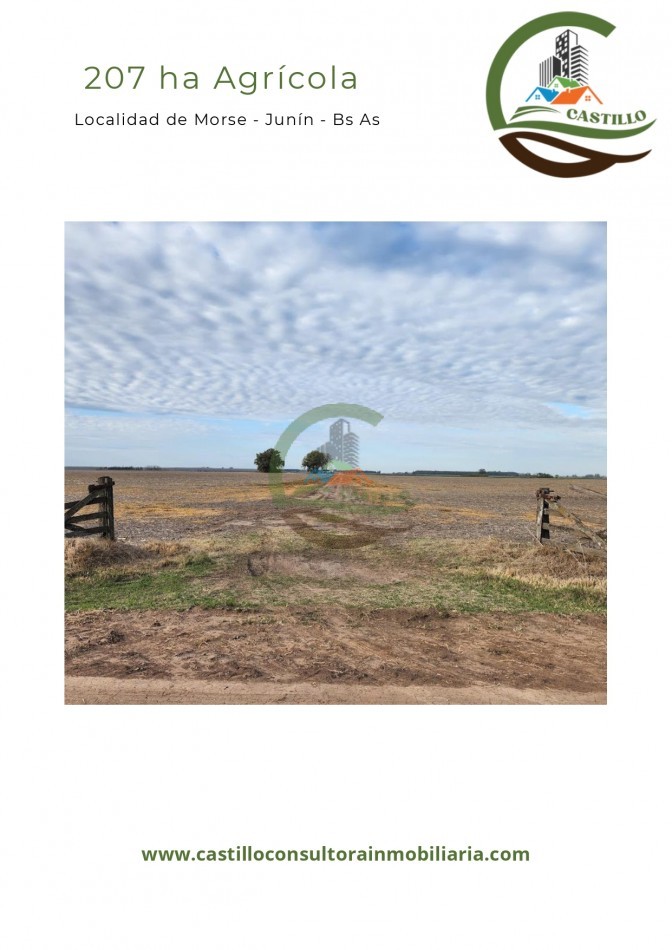 207 ha agricolas - junin