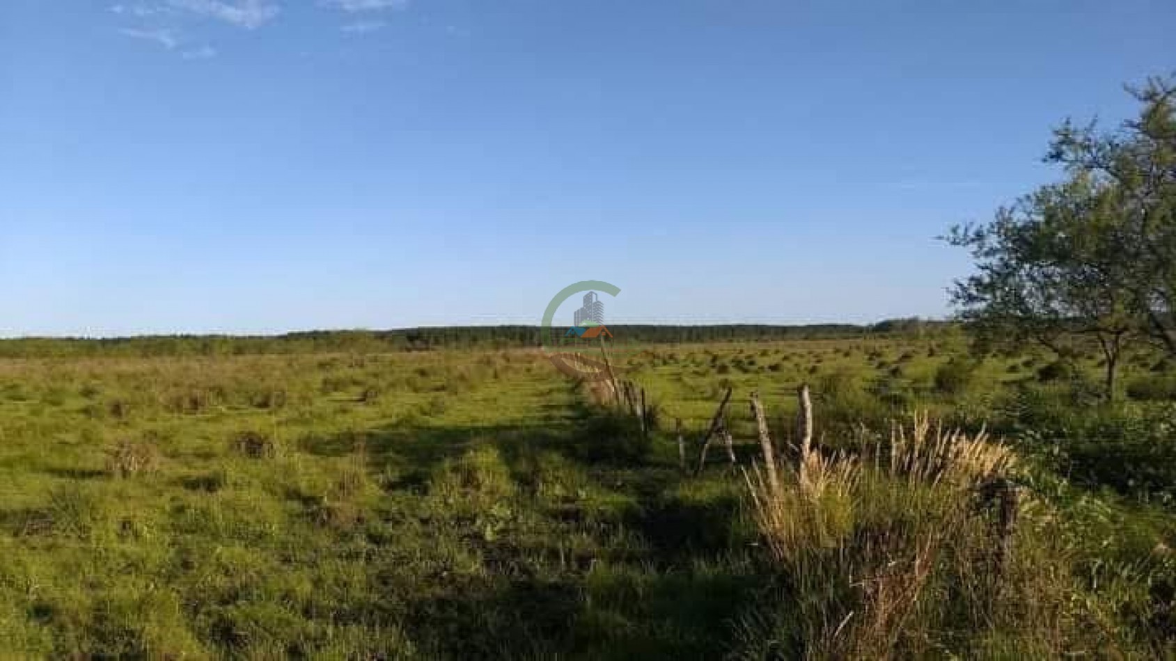 343 Ha Ganadero - Concordia - Entre Rios