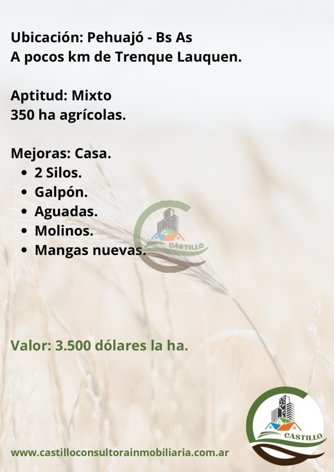 585 ha mixtas - pehuajo