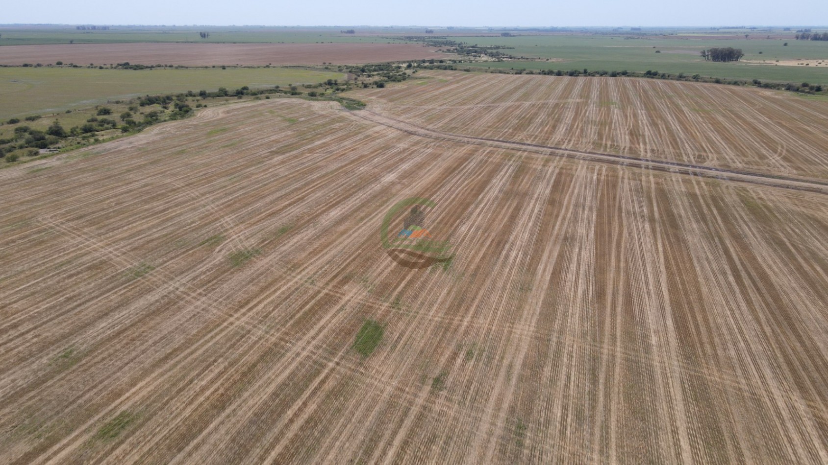 161 Ha Agricolas - Irazusta - Entre Rios