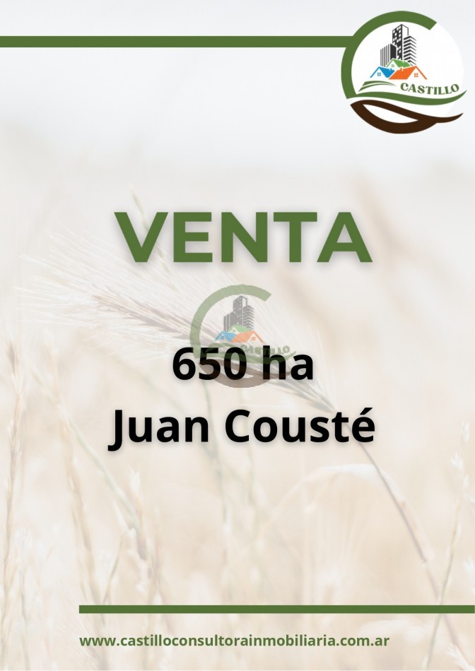 650 ha Mixto - Juan Couste