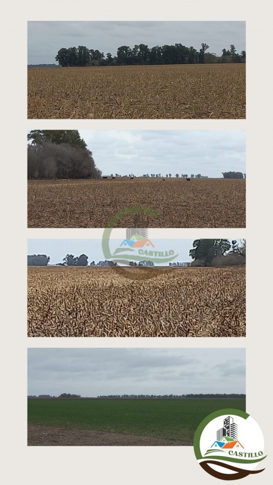 697 ha agricolas - bolivar