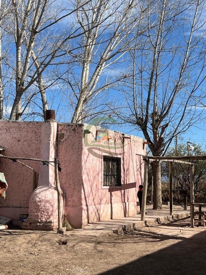 30 ha Finca - San Francisco - Mendoza