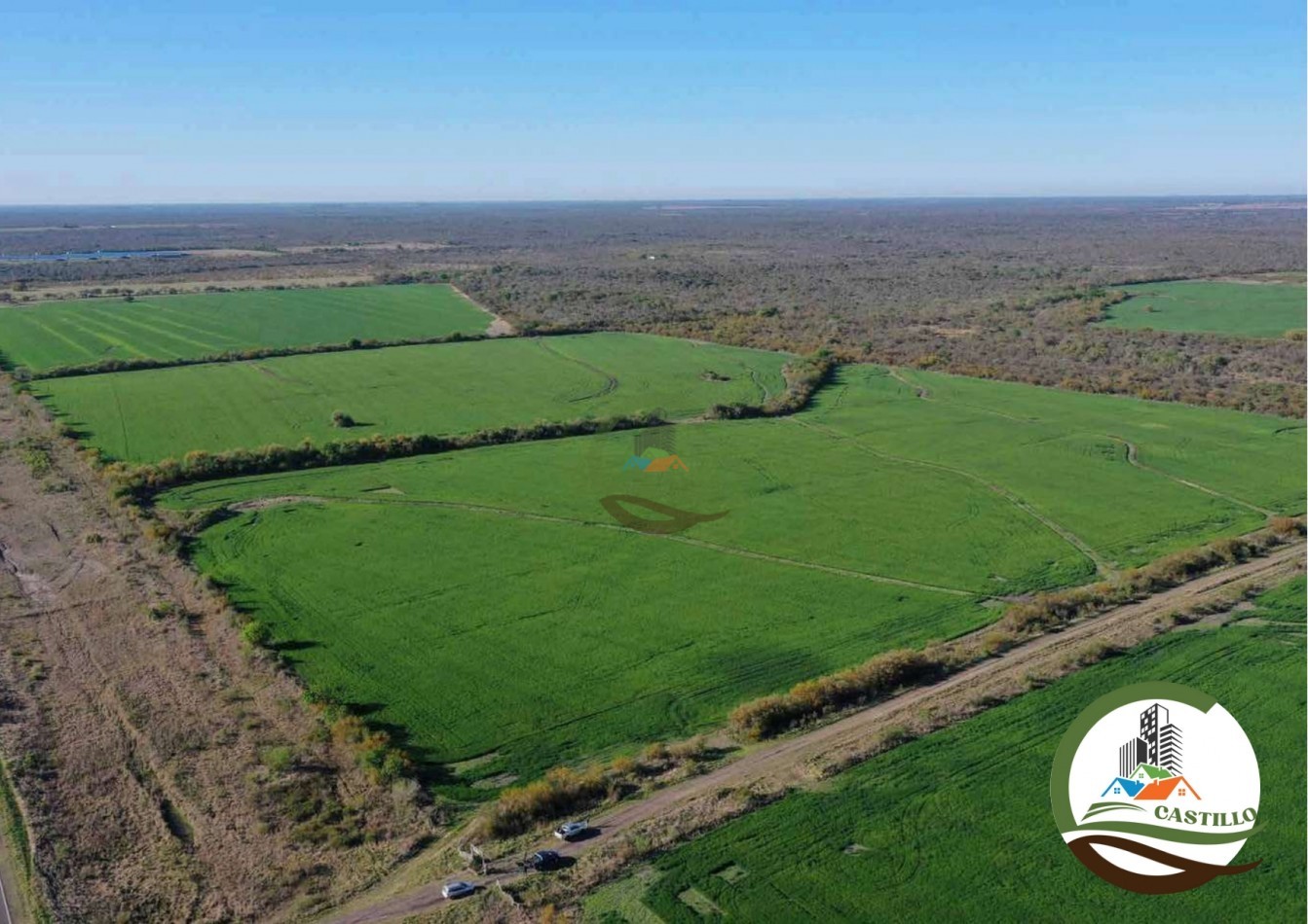2658 ha Mixto - Entre Rios
