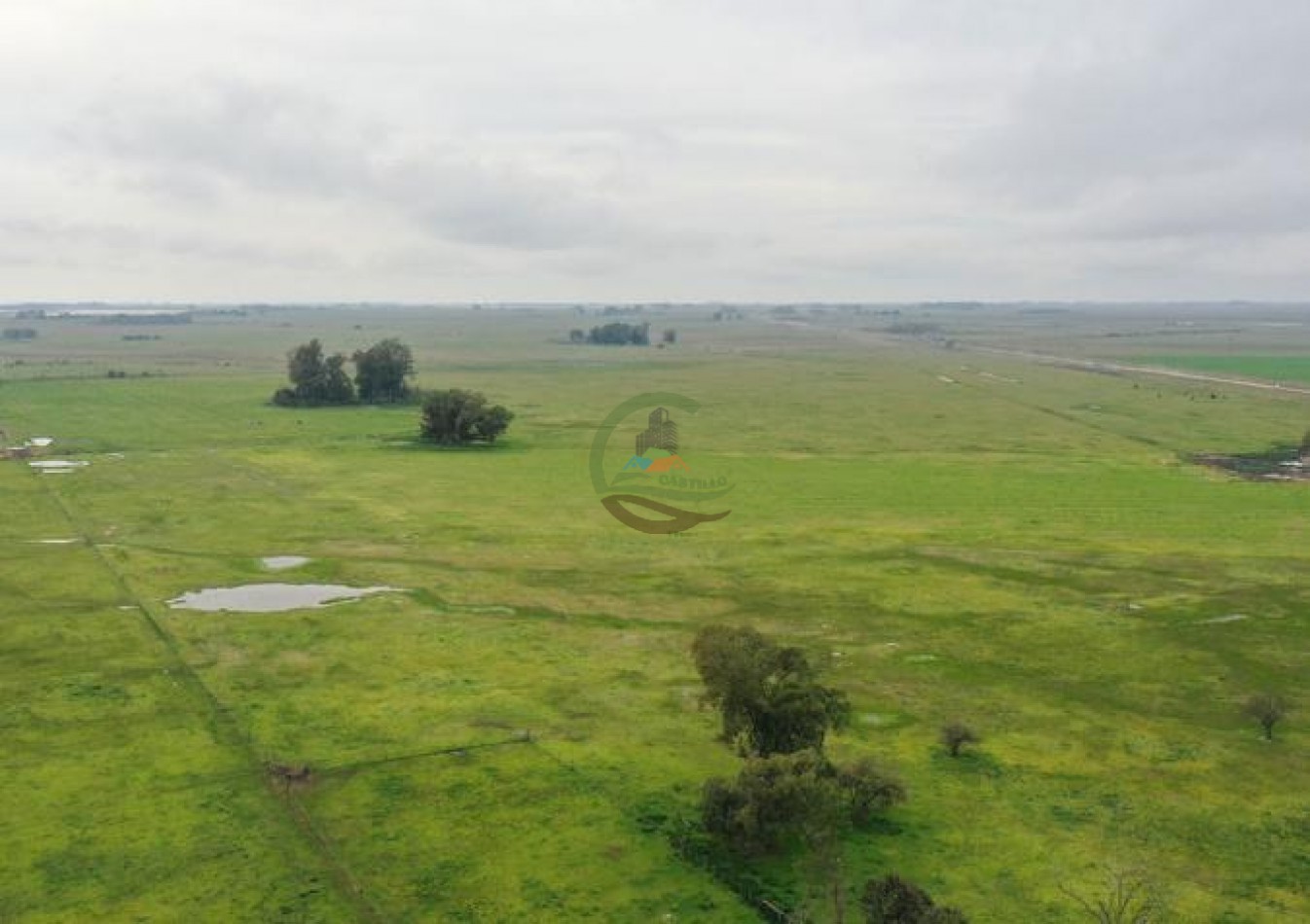 1795 Ha Ganadero - Chascomus