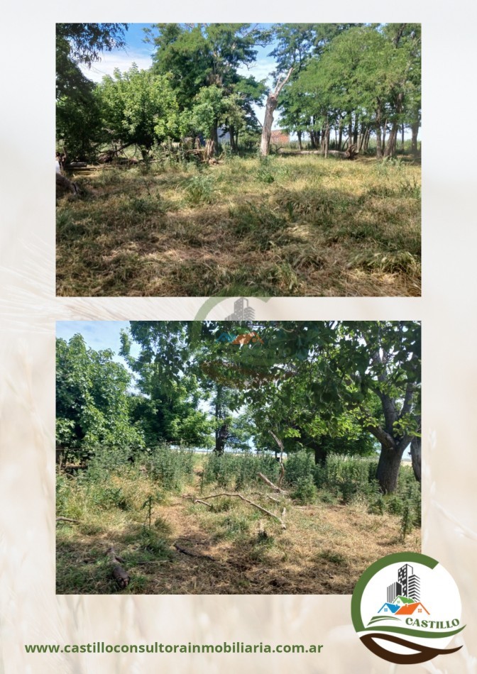 70 ha agricolas - cañuelas