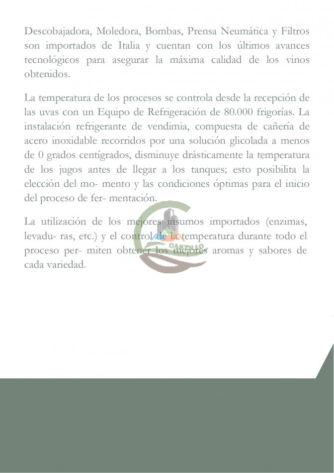 Bodega - Cafayate