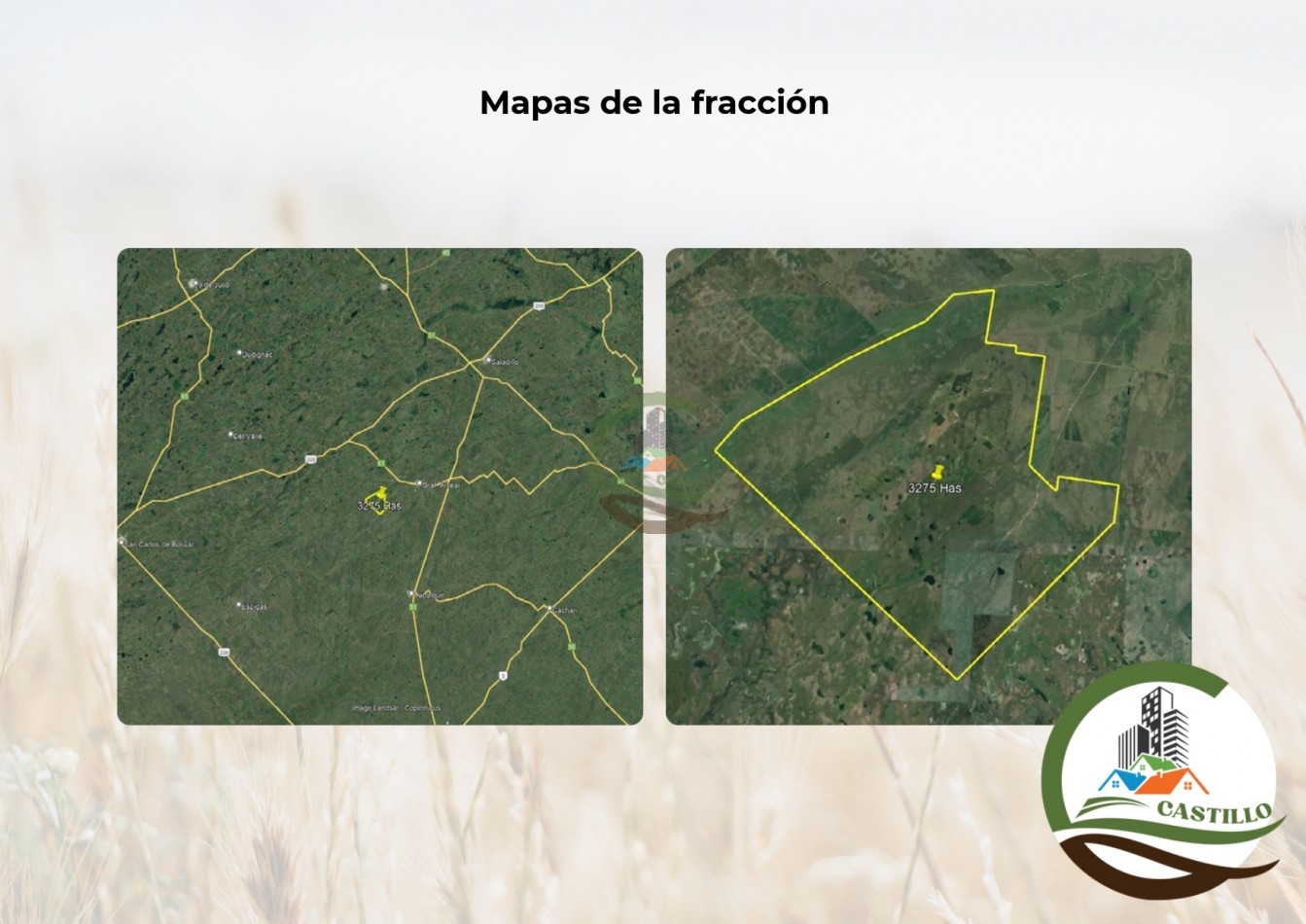 3275 ha ganaderas - general alvear