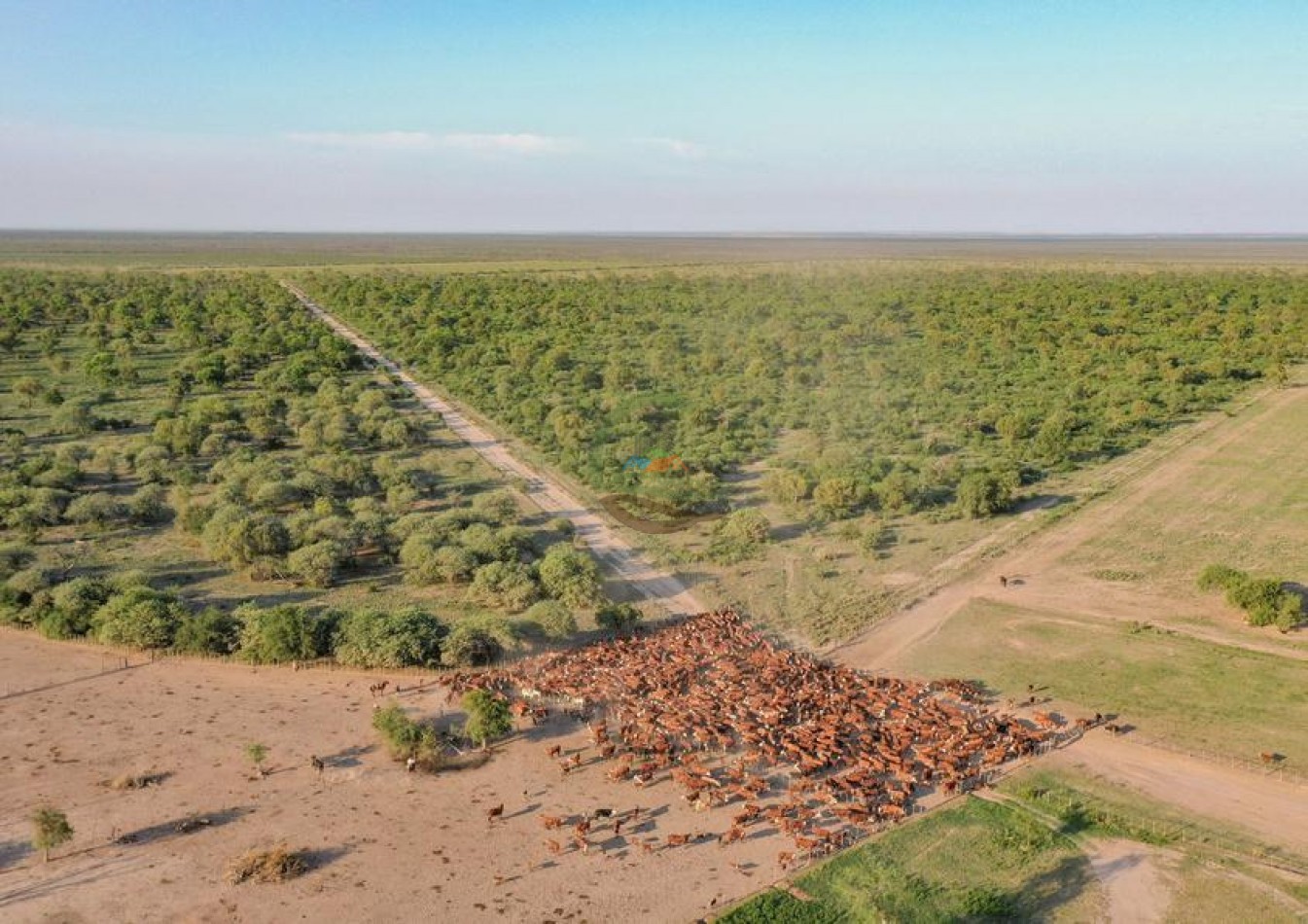 9389 Ha Mixto - Jimenez - Santiago del Estero