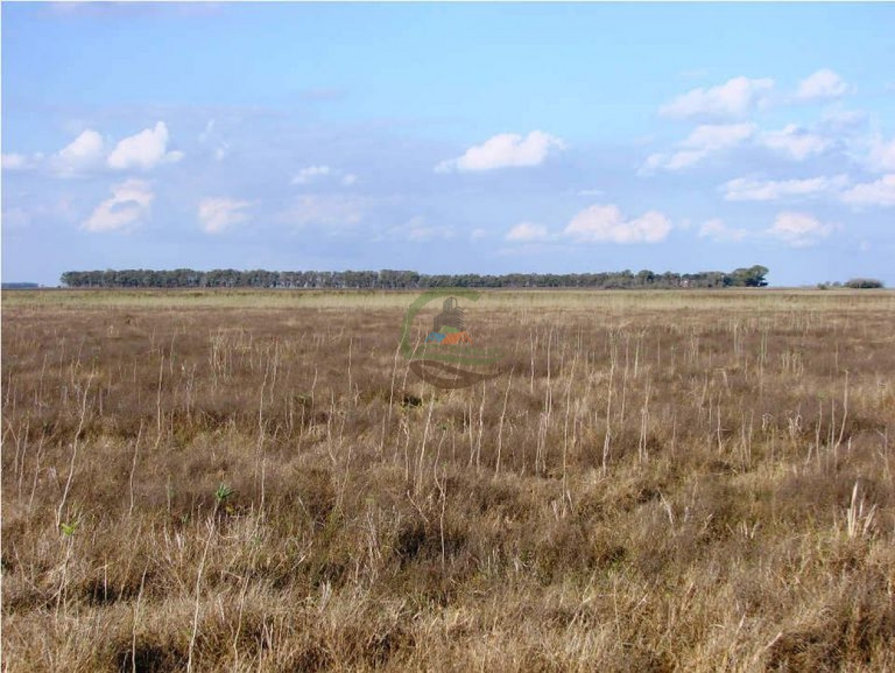1320 Ha Ganadero - Dolores
