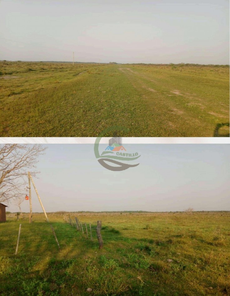 4168 Ha Mixto - San Luis del Palmar - Corrientes