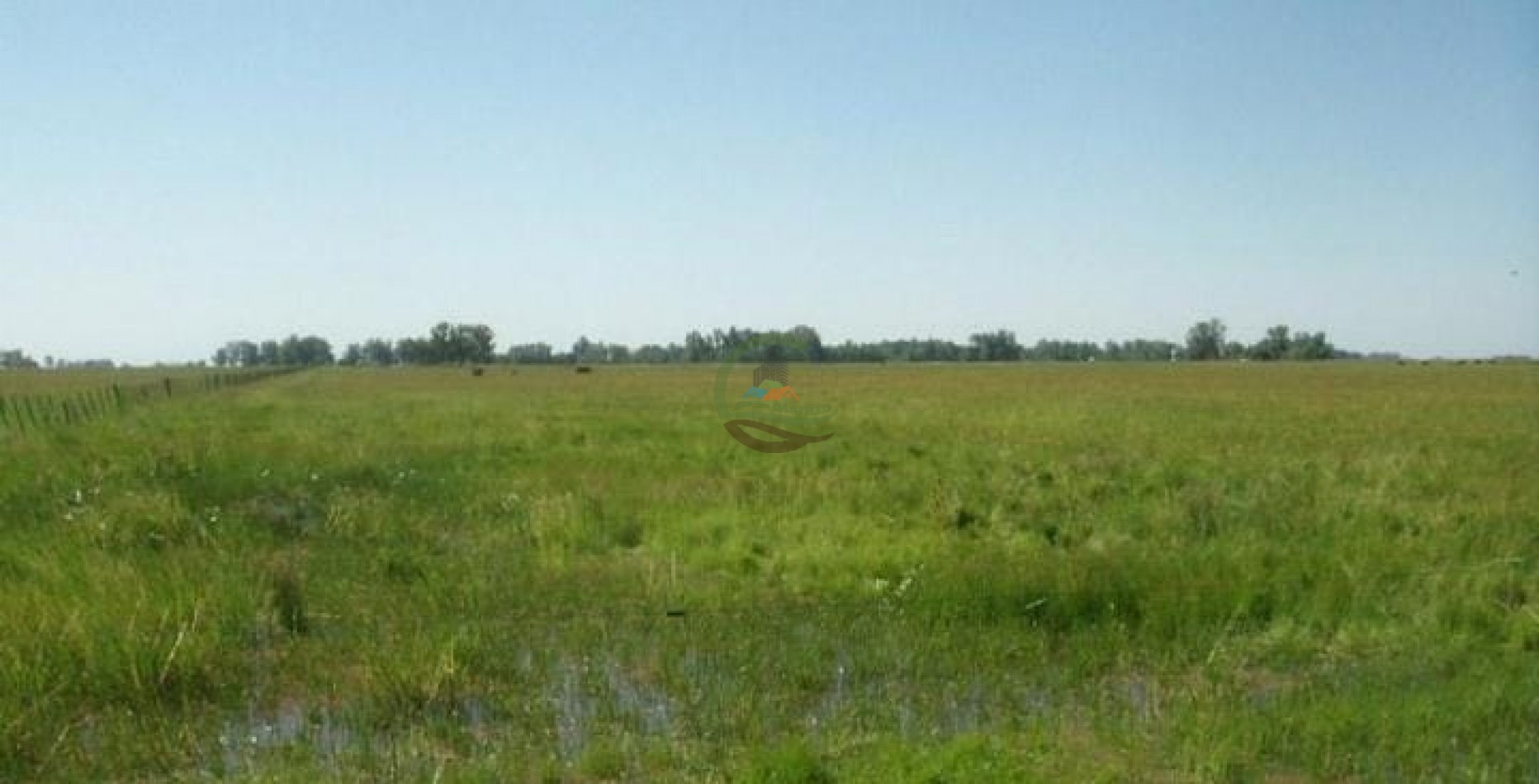 900 ha Ganadera - Tapalque 