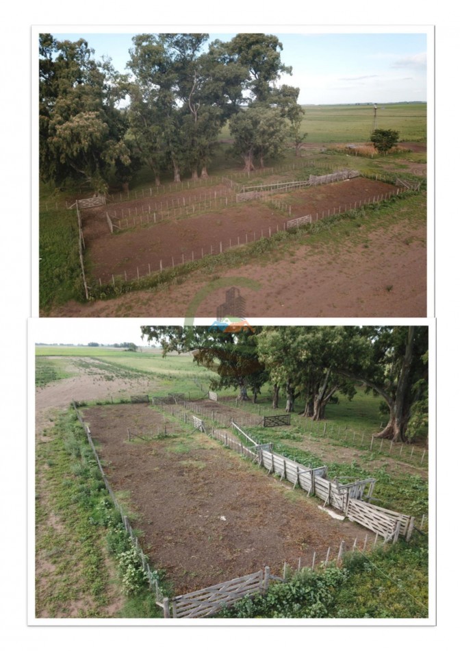 500 ha Mixtas - Bolivar