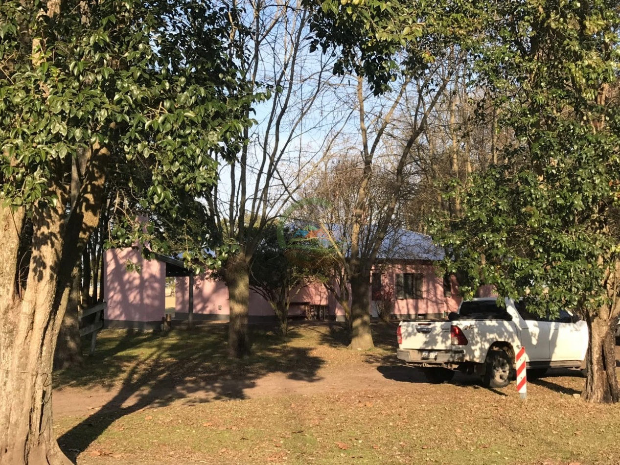 4800 ha MIxtas - Gral Belgrano