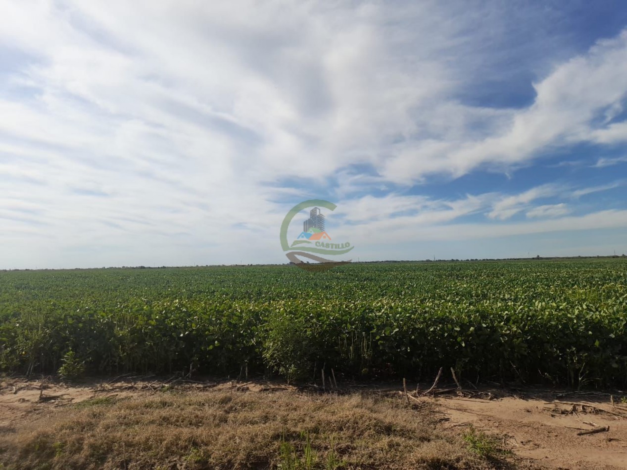 2200 Ha Agricolas - Laboulaye - Cordoba