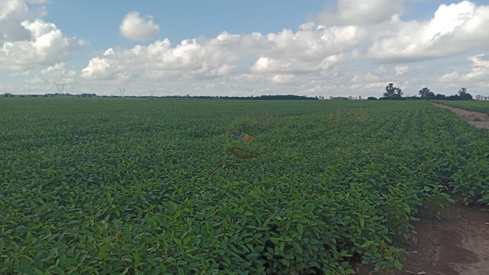 200 ha Agricolas - Cordoba 