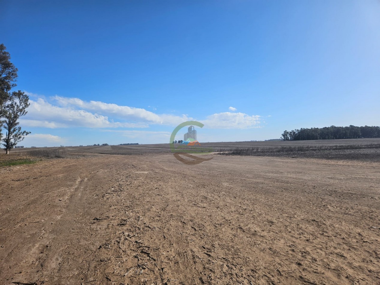 797 ha Agricolas - Bolivar