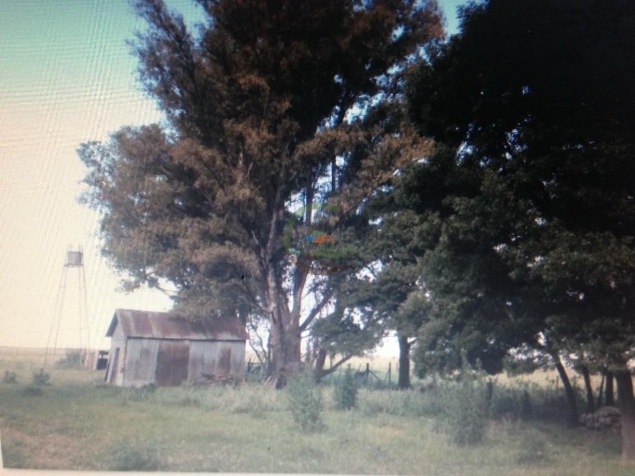 180 ha Ganadero - Las Flores
