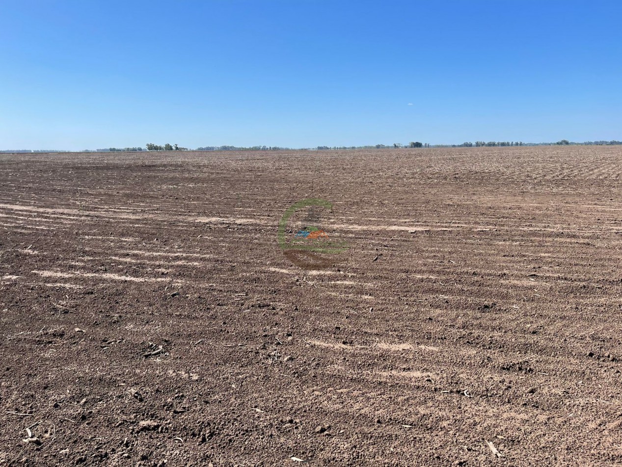 102 ha Agricolas - 25 de Mayo 