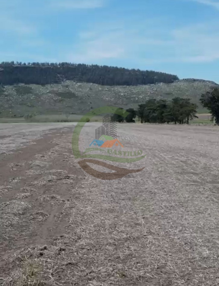 220 ha Agricolas - Balcarce  