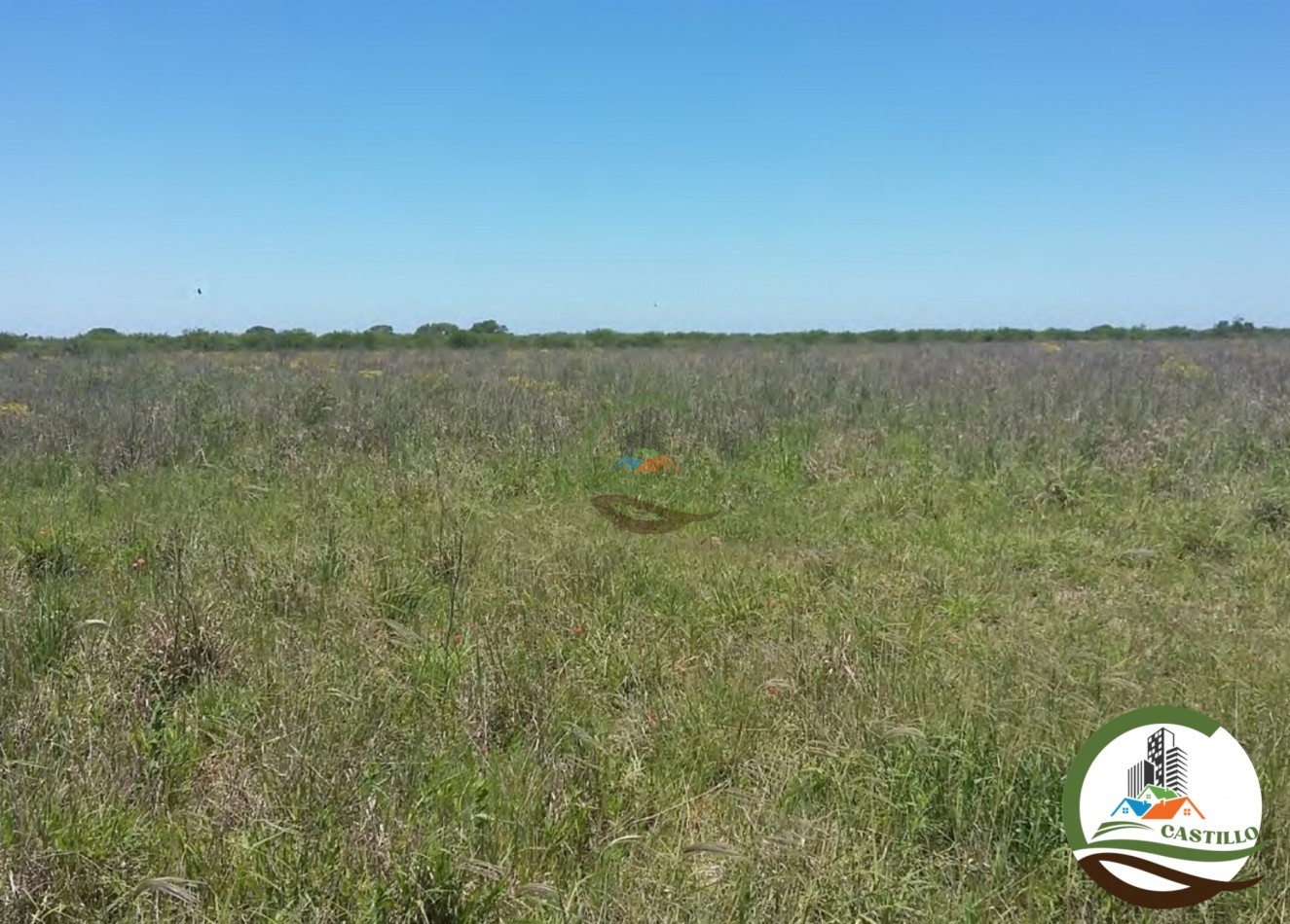 3200 ha - chaco
