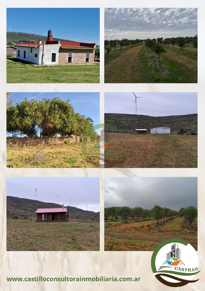 320 ha mixtas - uruguay