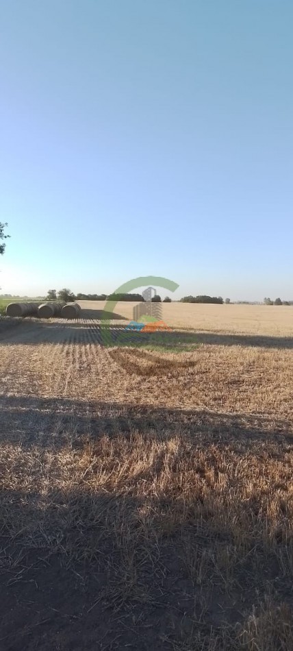 99 ha Agricolas - Suipacha