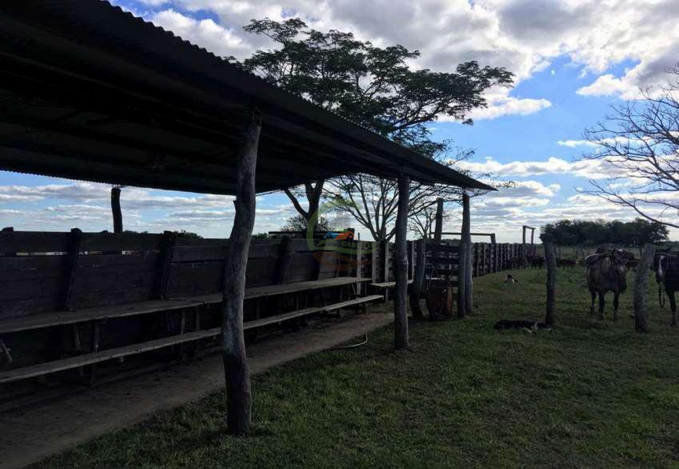 4168 Ha Mixto - San Luis del Palmar - Corrientes