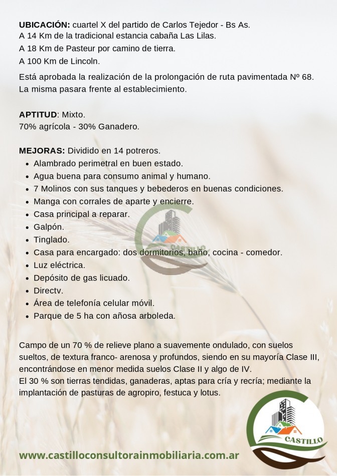931 ha Mixto - Carlos Tejedor