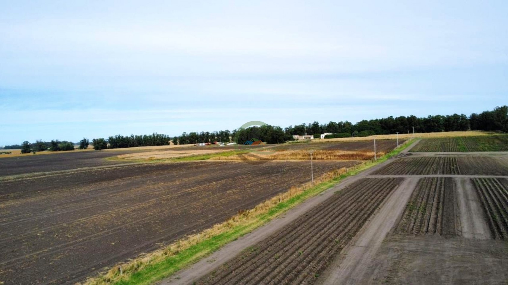 540 ha agricolas - miramar