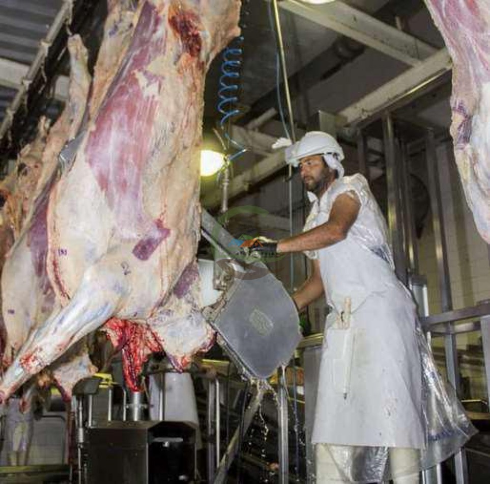 Frigorifico - con feedlot- Exportadora - La Adela - La Pampa