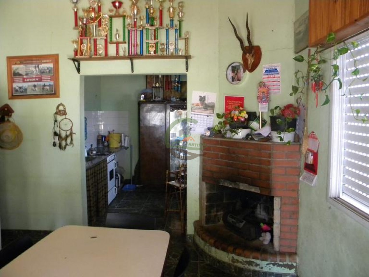 81 Ha Ganadero - Tambo - Guamini