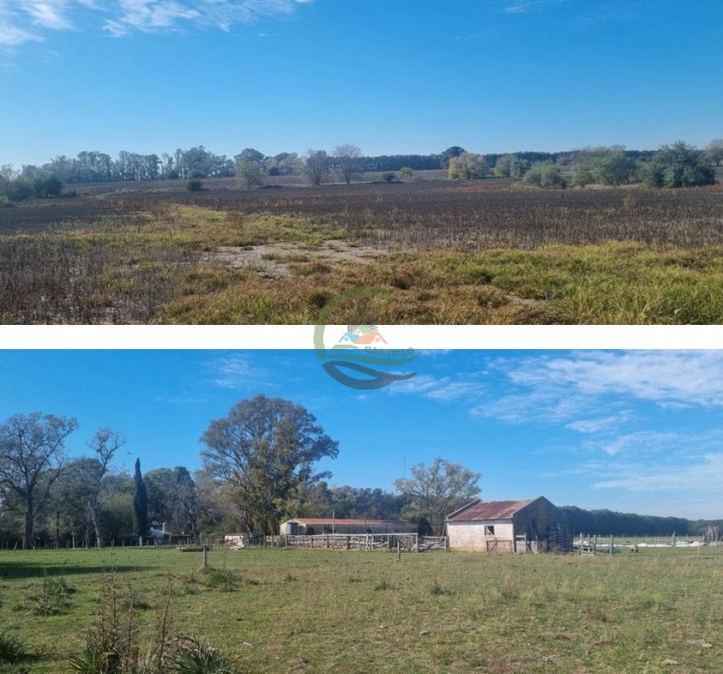 401 Ha Mixto - Lujan 