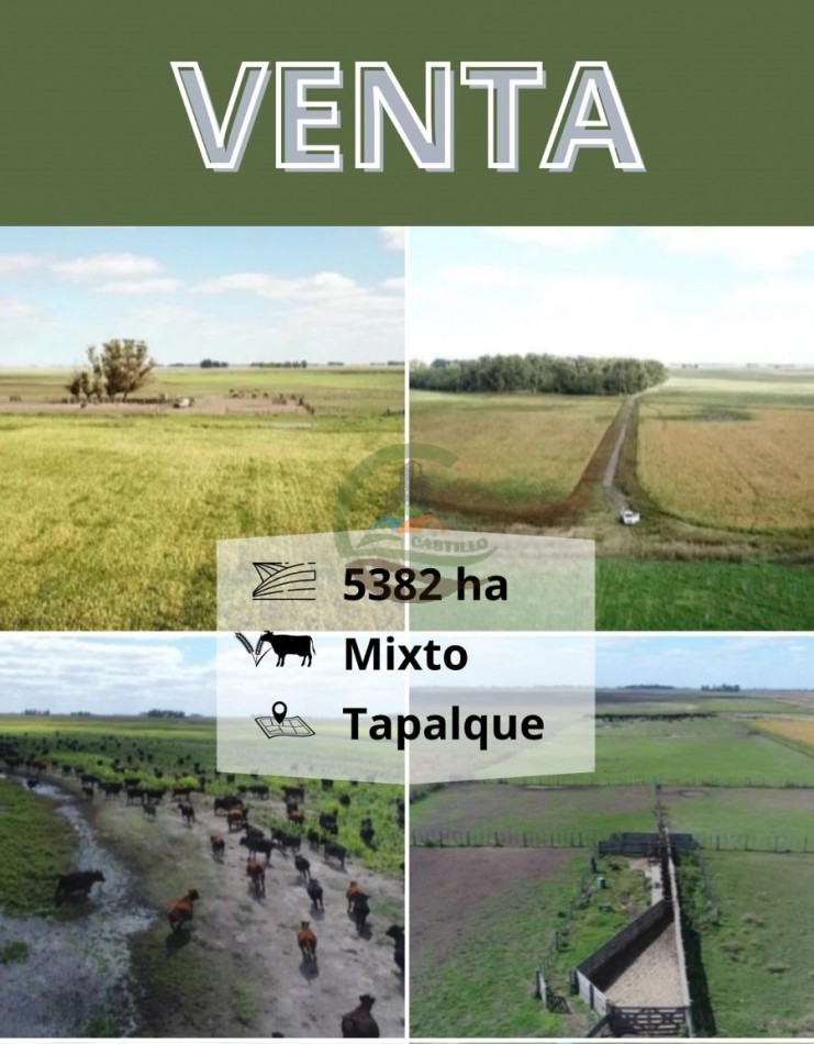5382,89 Ha Mixtas - Tapalque