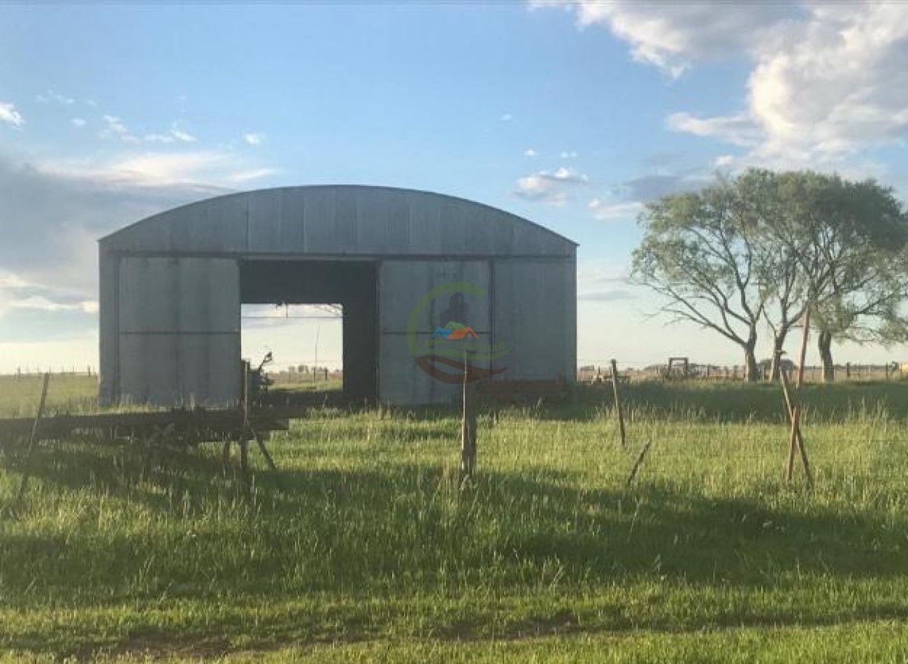 875 Ha Mixto - Carlos Tejedor