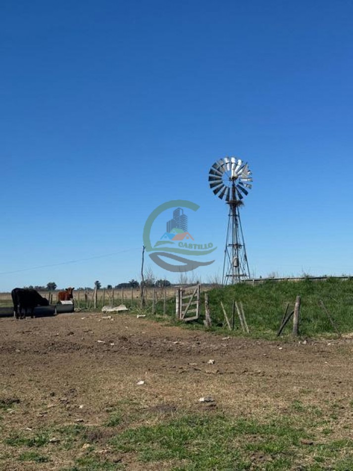 490 Ha Ganadero - Carmen de Areco