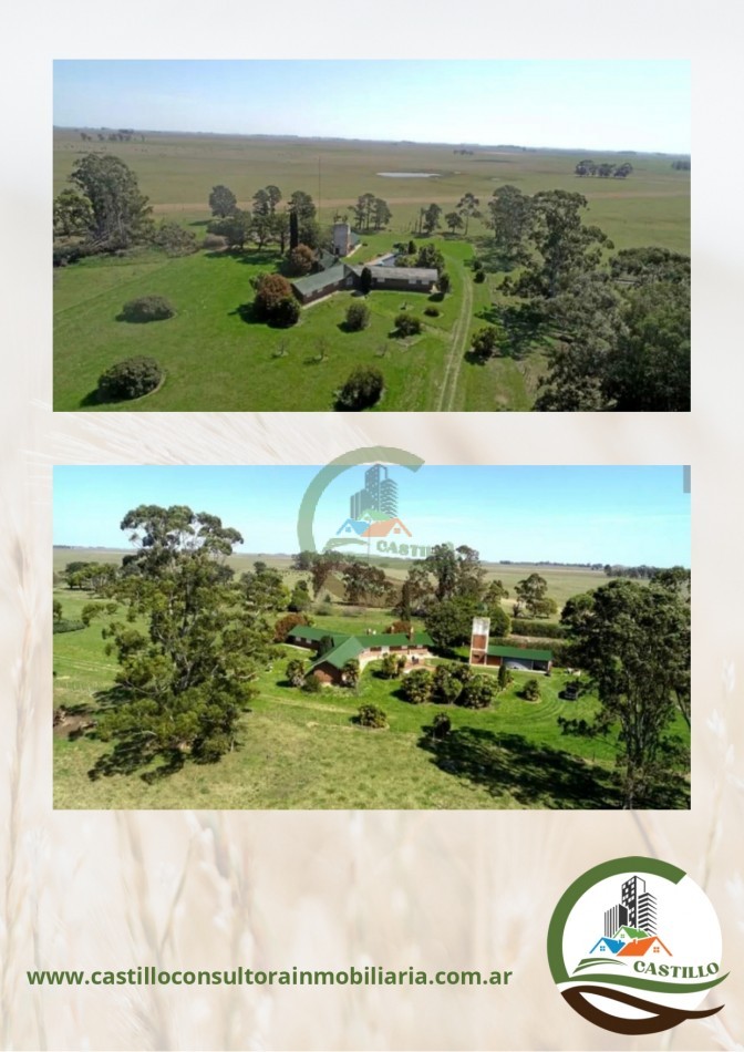 828 ha Mixto - Ayacucho