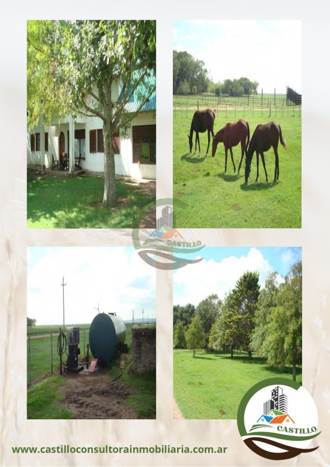 2109 ha mixtas - uruguay