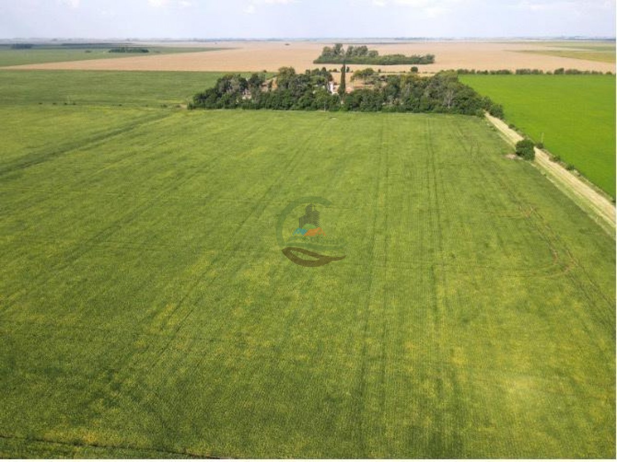 144 Ha Agricolas - Cavanagh - Cordoba 