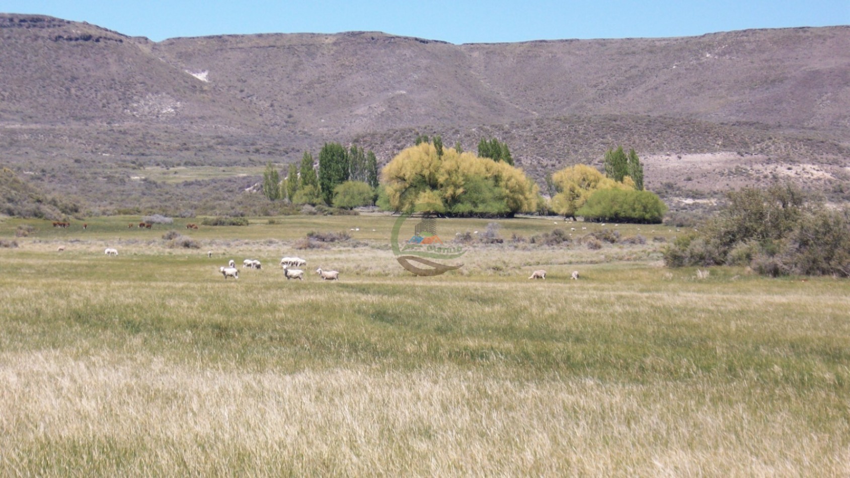 50000 ha Ganadero - Santa Cruz
