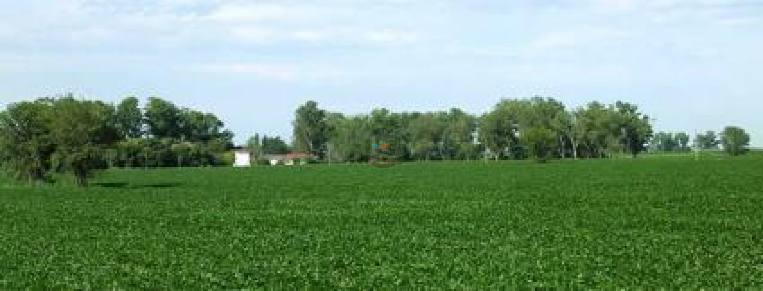 1561 Ha Mixtas - San Martin - Santa Fe