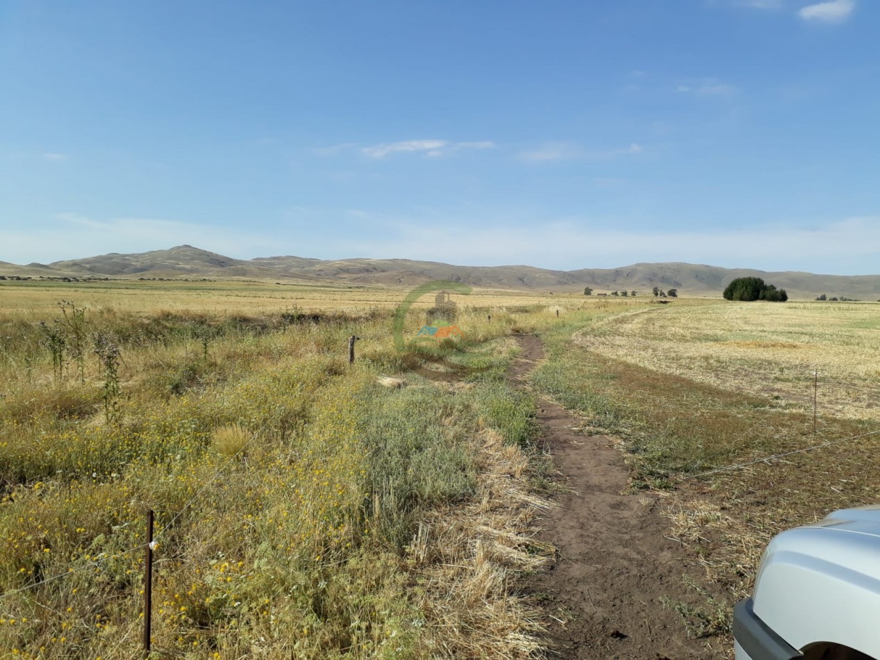100 ha MIxtas - Sierras de la Ventana