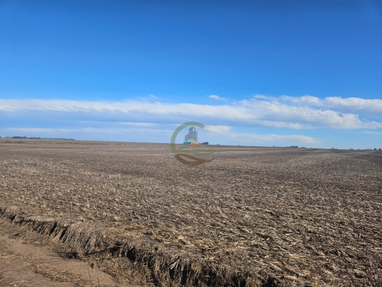 797 ha Agricolas - Bolivar