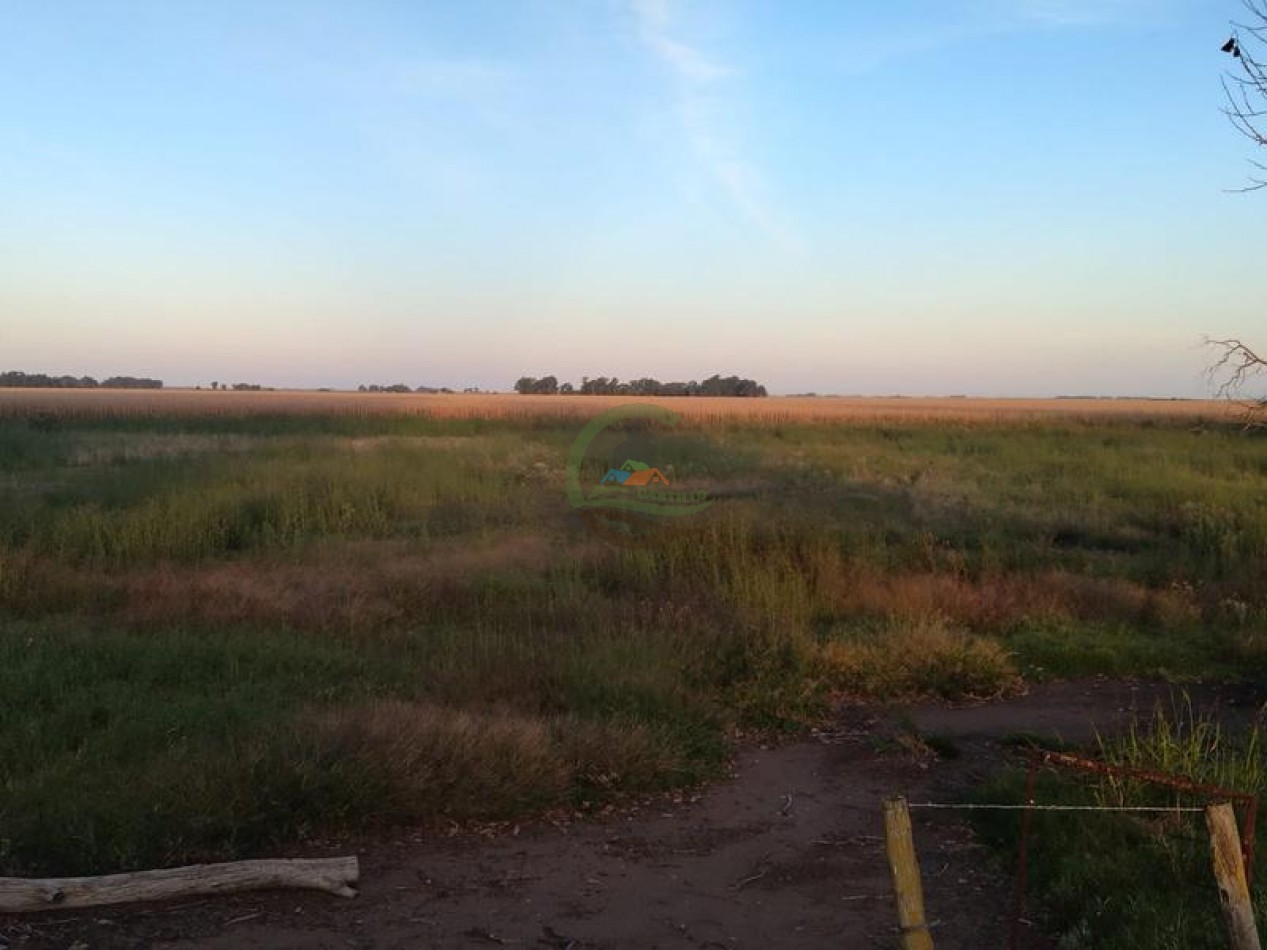 280 Ha Agricolas - General Alvear