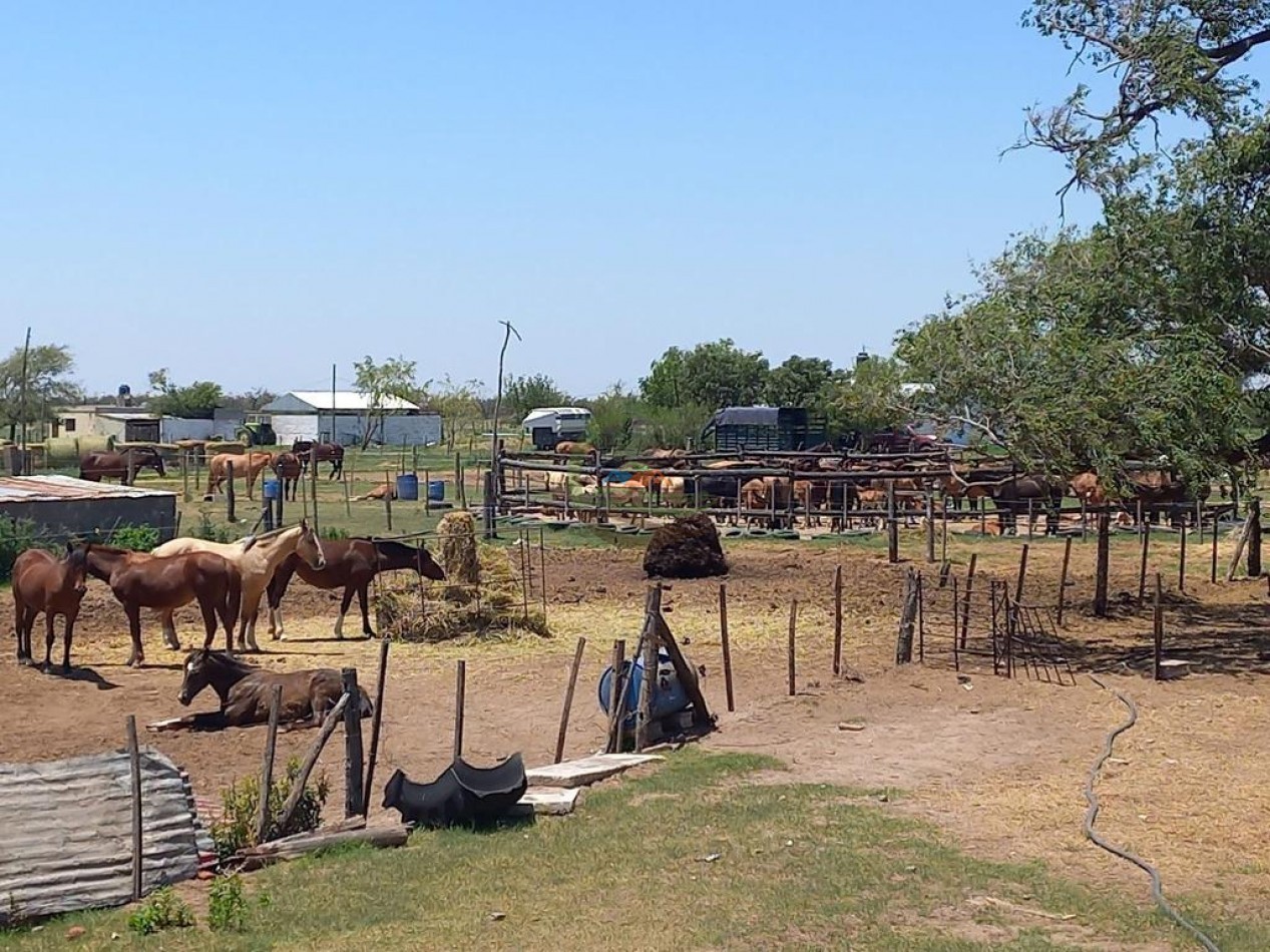 25 Ha Agricolas - Holmberg - Rio Cuarto