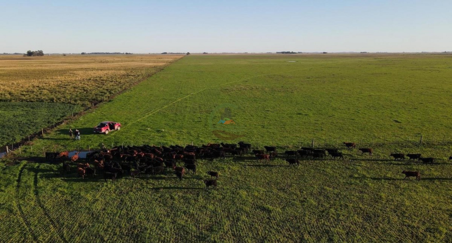 1437 Ha Mixta - Olavarria